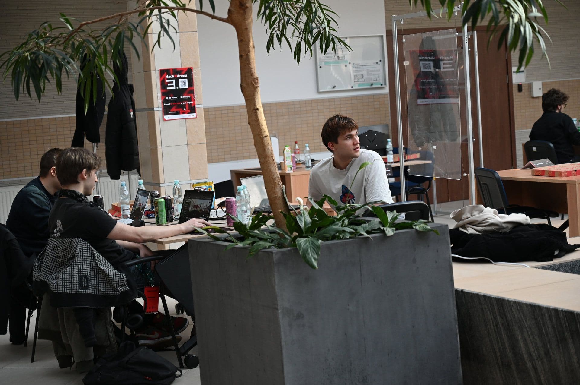 Photo 8